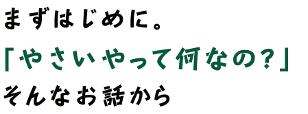 まずはじめに。「やさいやって何なの？」そんなお話から