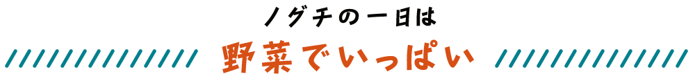 ノグチの一日は野菜でいっぱい