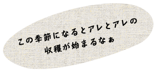 この季節になるとアレとアレの収穫が始まるなぁ