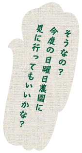 そうなの？今度の日曜日農園に見に行ってもいいかな？