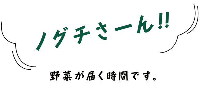 「ノグチさーん」野菜が届く時間です。