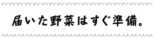 届いた野菜はすぐ準備。