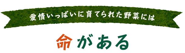 愛情いっぱいに育てられた野菜には命がある