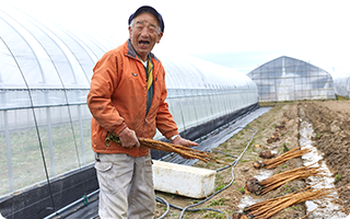 野菜