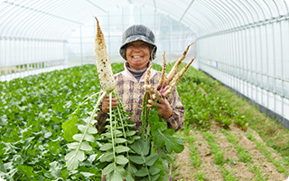 野菜