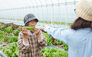 野菜