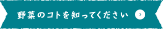 野菜のコトを知ってください